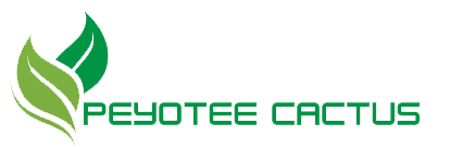 Peyote Cactus